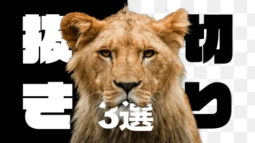 photoshopで切り抜く方法